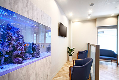 神楽坂泌尿器科クリニック 院内写真